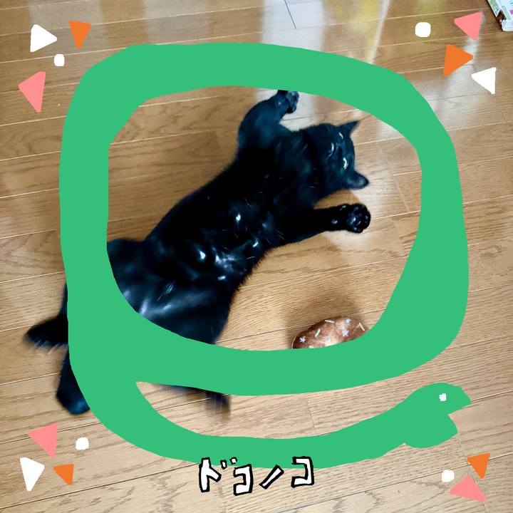 Ead9be4a 082f 461e 8f8c a1190337cec6 1741095123732