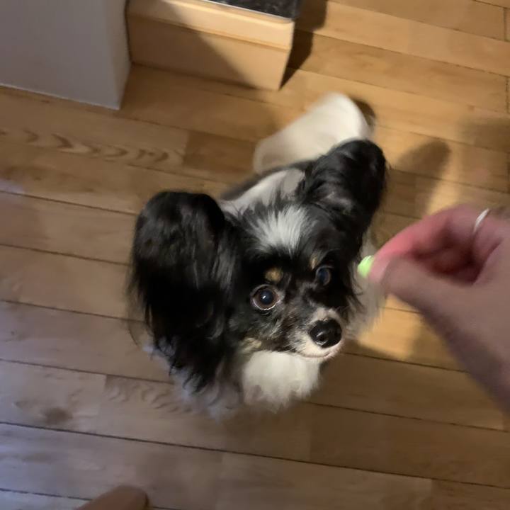 Ead9d7ac c1c3 42c5 8a1a acb4c5d04750 1624185084121