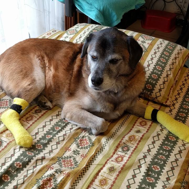 Ead9db25 aab3 44cd b144 47eeeda42f0d 1543111348610