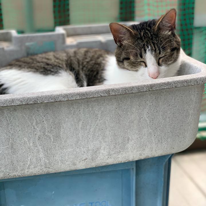 Eada25f5 ed3f 4438 89a7 6d468251be58 1562927046339