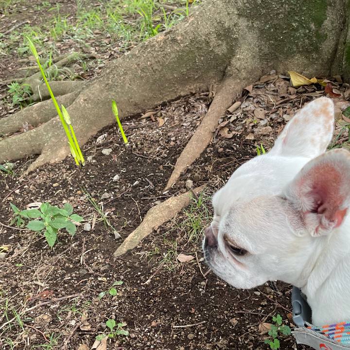 Eada3a4b fa2c 4bbe 9a78 b19d7707c3dd 1758150958515