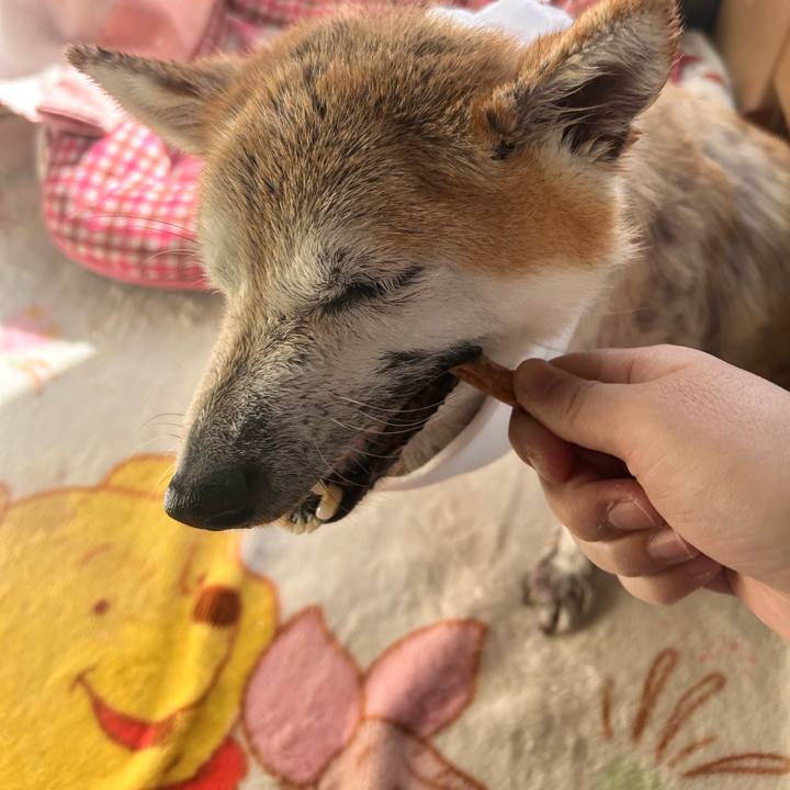 Eada4ff3 e7f2 48c4 80ae 2e11317a5056 1764130642001