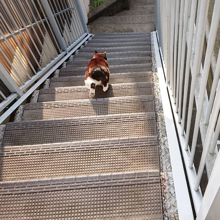 Eada5e88 0118 43a8 8c4a 802257607caa 1617929169512