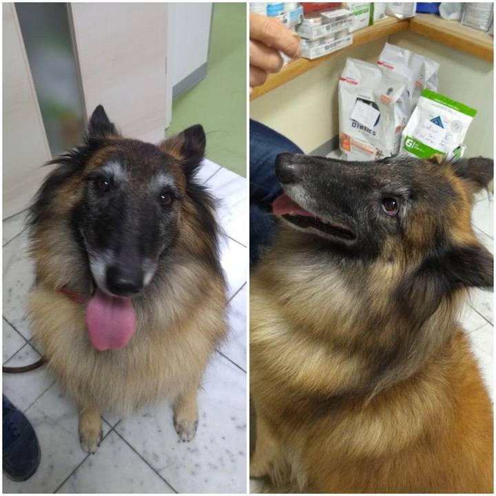 Eada97d9 43c0 4ebf be04 caeecd805dec 1570448588930