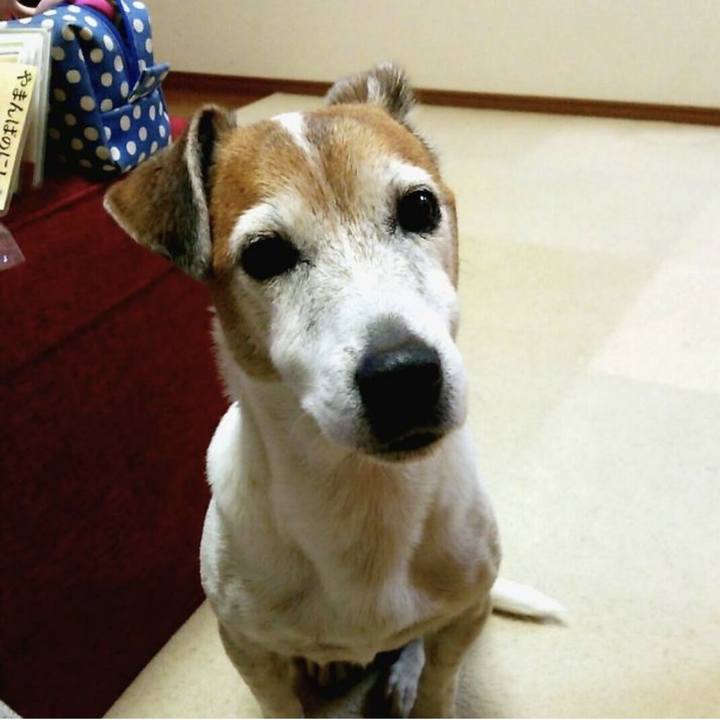 Eadaaf34 5be1 41e2 9fc2 7468cebf548c 1767731063304