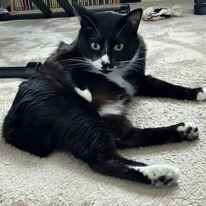 Eadabddd 8033 4e17 856e 4161fca25676 1692157326172