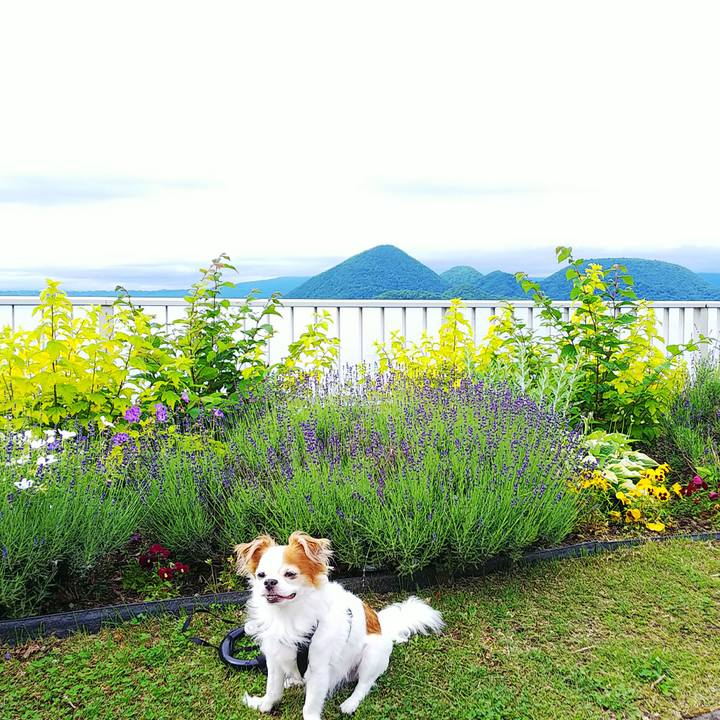 Eadaf9f0 dd0f 4c6d a8ca 0274e9491fc1 1530345415518