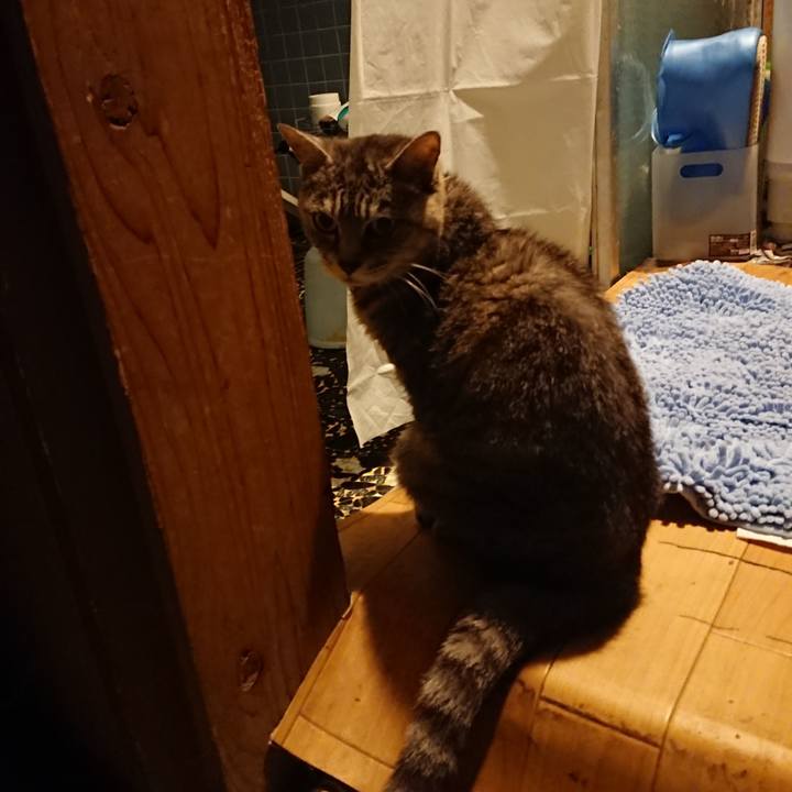 Eadb0828 c496 43f5 b9a7 c76392712278 1568972749040