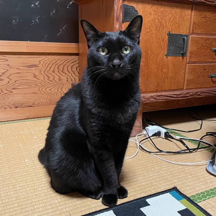 Eadb3038 5331 421e 8865 673724f2c126 1765541552217