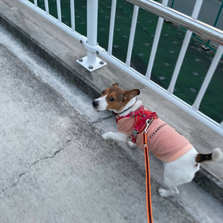 Eadb4257 fb29 46f6 babf 8200b545b1aa 1700303708371