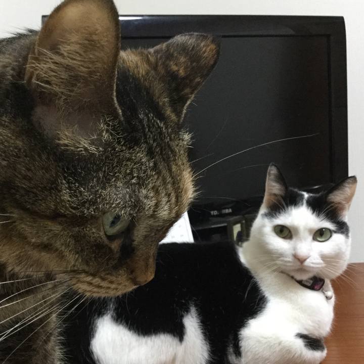 Eadba772 e0f3 4954 bbf6 875cd0cdd31c 1522418510204