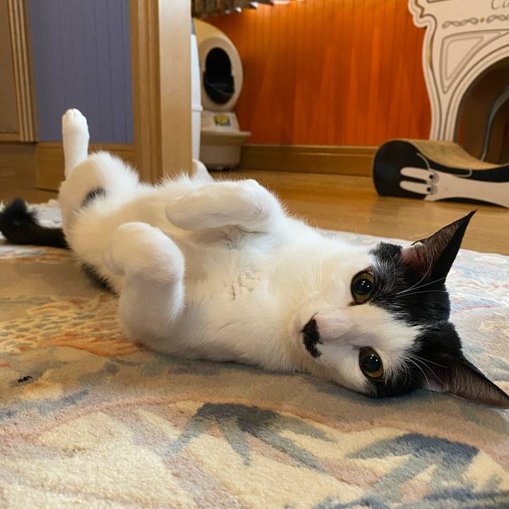 Eadbac7e 291e 4810 a225 502cd2ebaf93 1579667193651