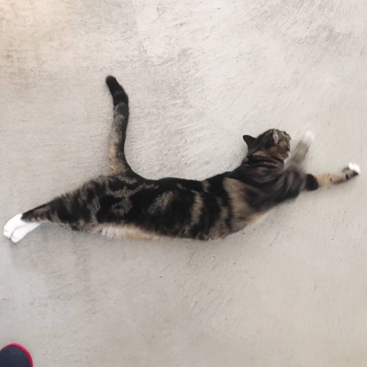 Eadbc616 9a34 4643 ac92 f5f3695e7341 1541635604830