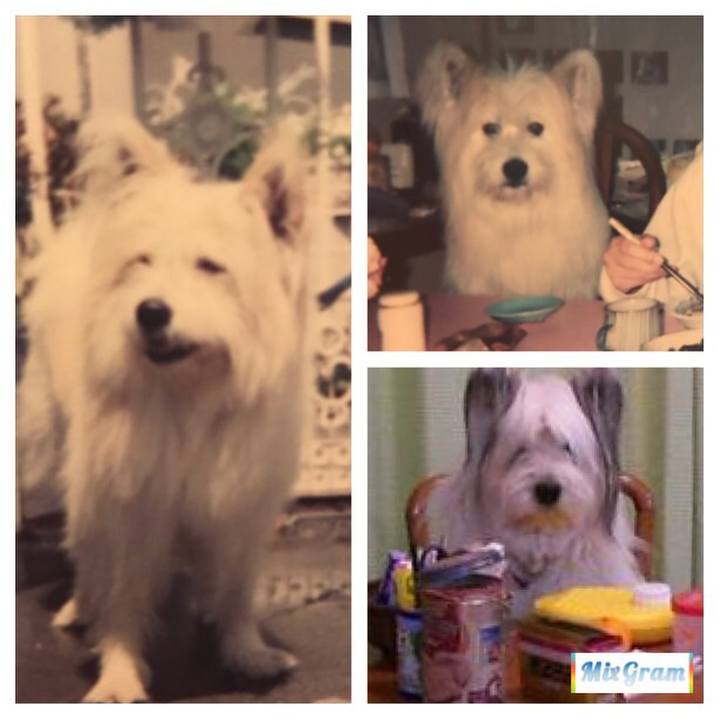 Eadbcb46 bde8 45da a06c 0a8f68ba6075 1509002854167