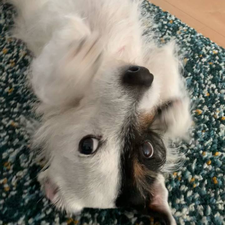 Eadbd96f 315d 4fa6 bb25 766dd83a0a7b 1617520394659