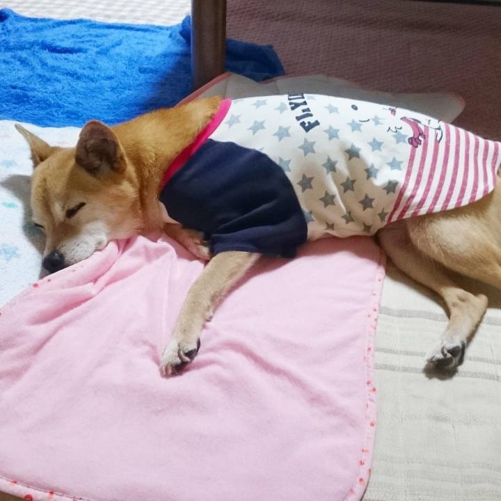 Eadc2c91 8b4e 4d57 b448 7d1a66d5b40f 1618751926140