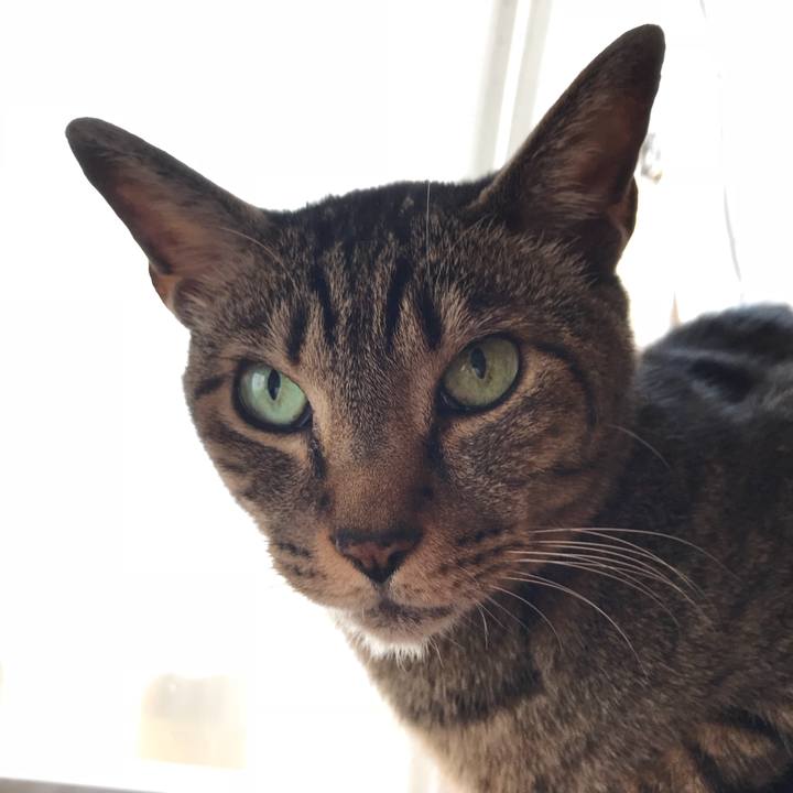 Eadc5041 4694 4718 9756 a2091bc0b7e0 1525223991421