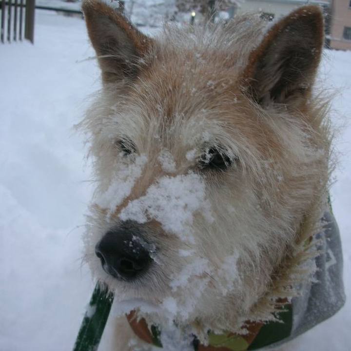 Eadc675b 7175 4f5f bac6 aee6d1e45a49 1580880761281