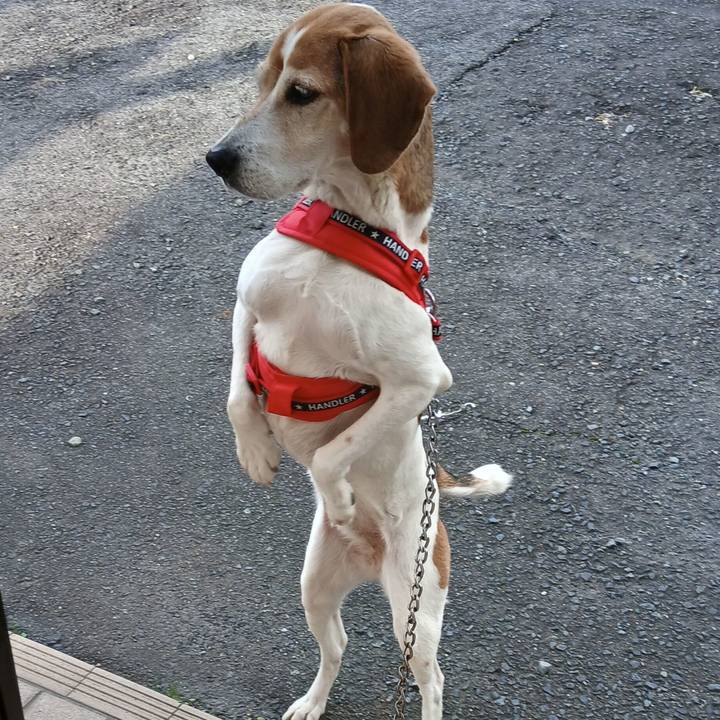 Eadc7709 7af2 4112 b17d 7dcb04e1f569 1772968080874