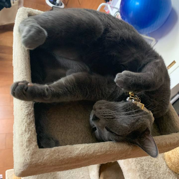 Eadc7921 de87 43c3 a729 00157be16da3 1658121777989