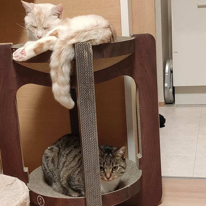 Eadc7eb1 d26c 4932 a0c9 390a31da9fdc 1655041496216