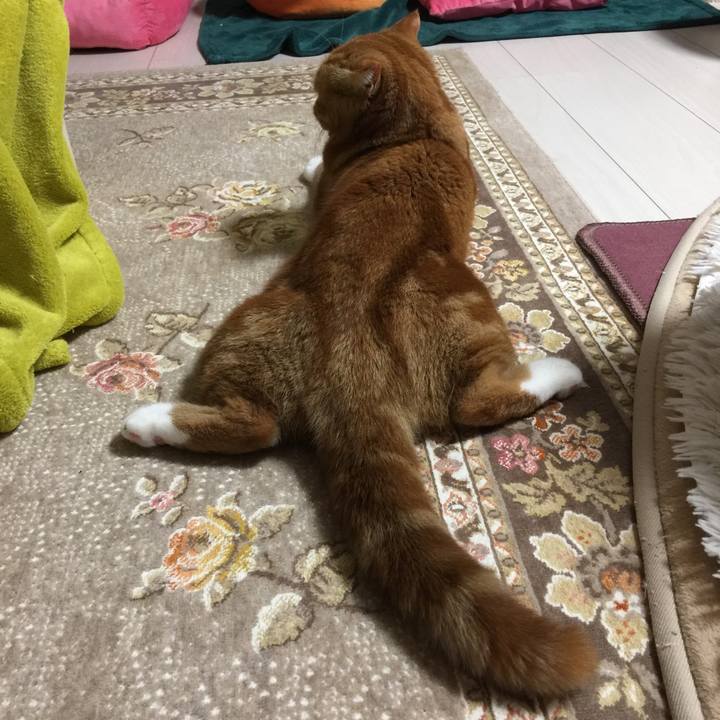 Eadca00a 9422 444a 9bab b197d63a2c30 1545687733635