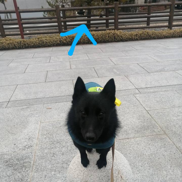 Eadccb89 bafb 4b47 8fd7 d24935332b0a 1643409423643