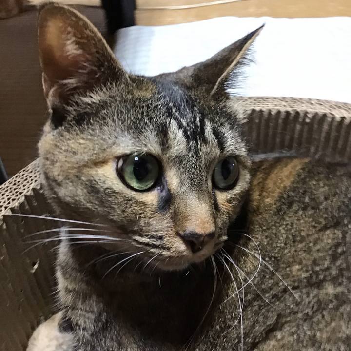 Eadcddf2 e367 44fc 8c81 1d698f70af57 1720687860704