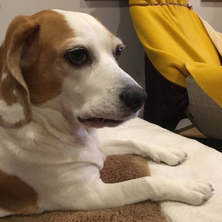 Eadcdeaa 70ca 4ca1 9e11 0c886fa4d6c9 1566481167138