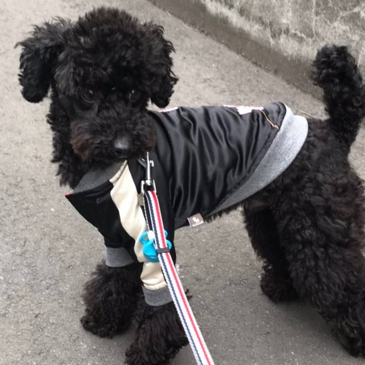 Eadd105f 1550 4e70 931b b3882c1e762d 1553313239651