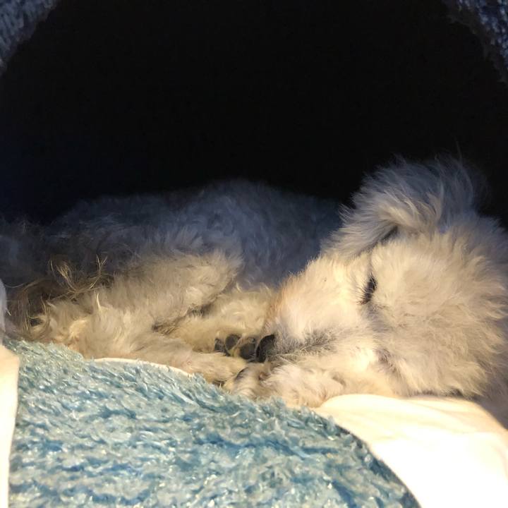 Eadd3b29 3b45 4a03 8ed7 941d115bcf70 1633589525011