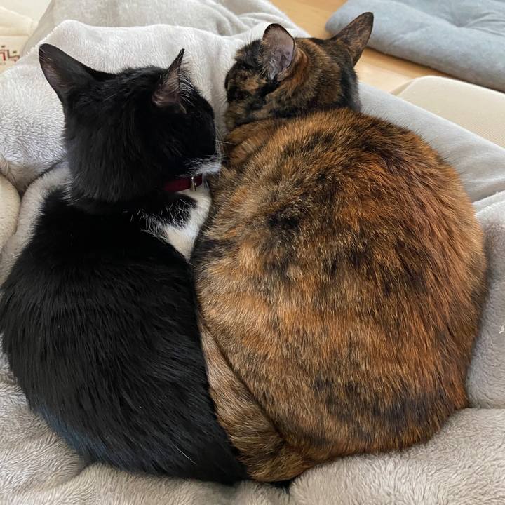 Eadd5a0a 2536 464e 84ad b3c3210e275c 1646356085838