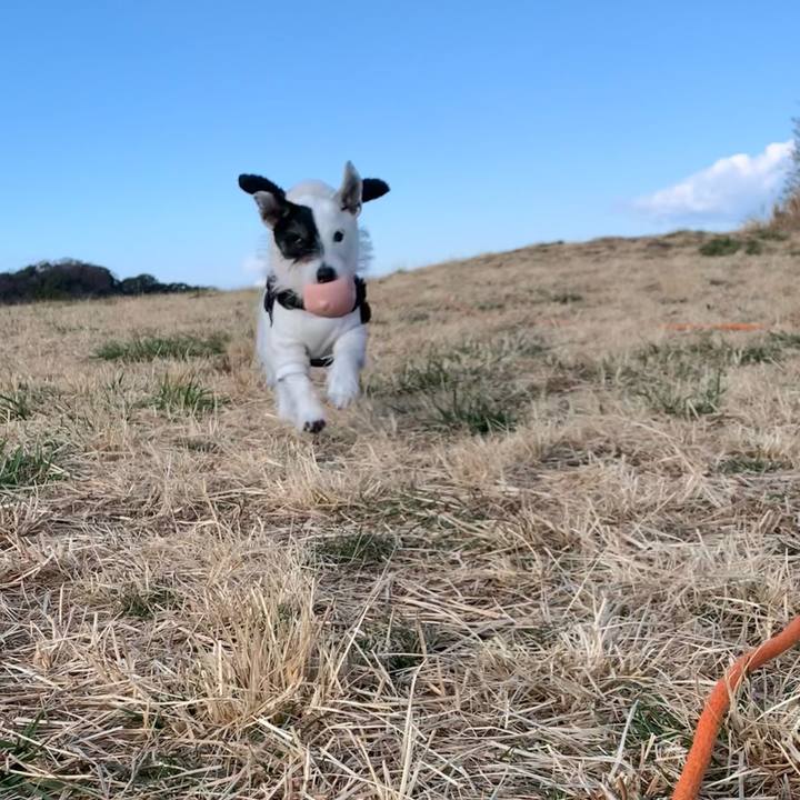 Eadd65c8 479d 477a 9a02 d392925c8673 1738631959190