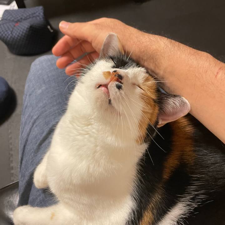 Eadd6976 66ce 4436 97b1 8f719ce8205b 1633149509726