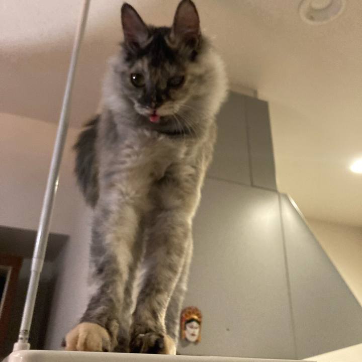 Eaddbcd8 3456 4943 894e 5fbf7fbc3dc4 1700389050141