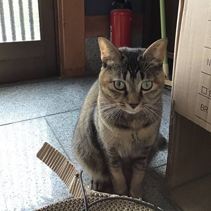 Eaddcf57 e5cd 49e1 84c8 405b85ef61a0 1605163410396