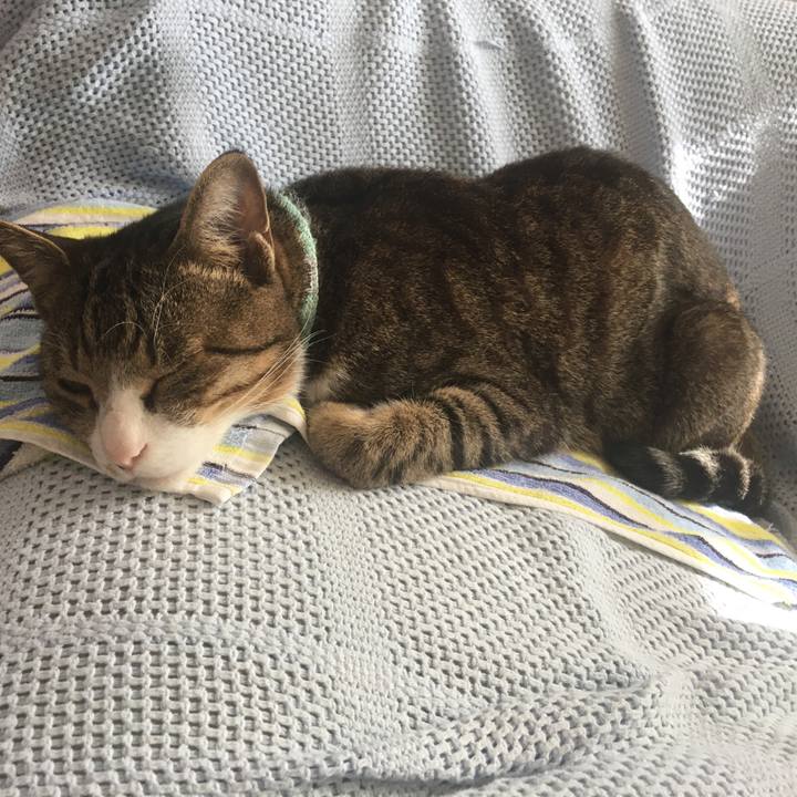 Eaddd85b 7518 4138 a868 e41353e12461 1698414568486