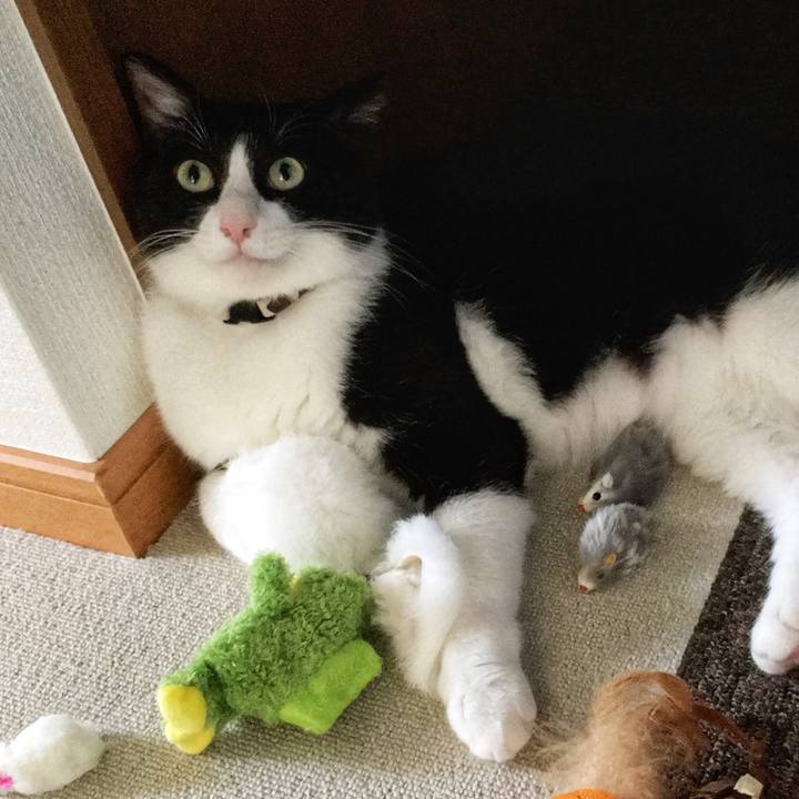 Eaddec1f cb79 48c0 9533 3c2d4437da25 1534584867254