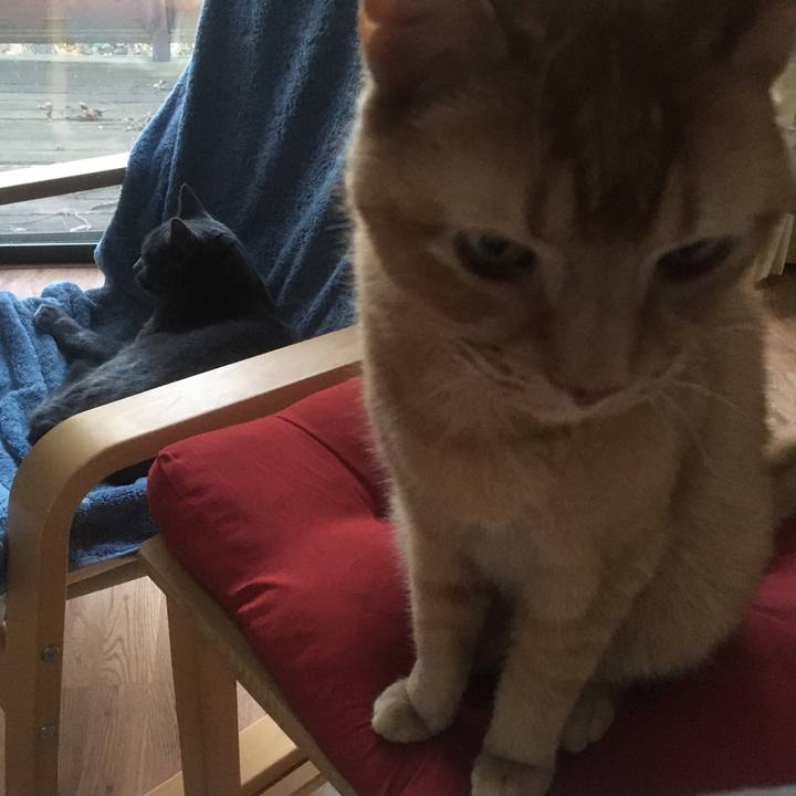 Eaddf4c5 41ec 4417 877d a9407ac6ef26 1617753377161