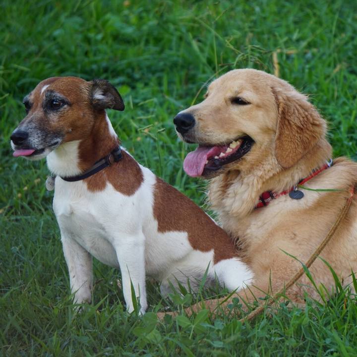 Eaddffe9 09bf 478d a384 dc4c9c7227ca 1601246459965