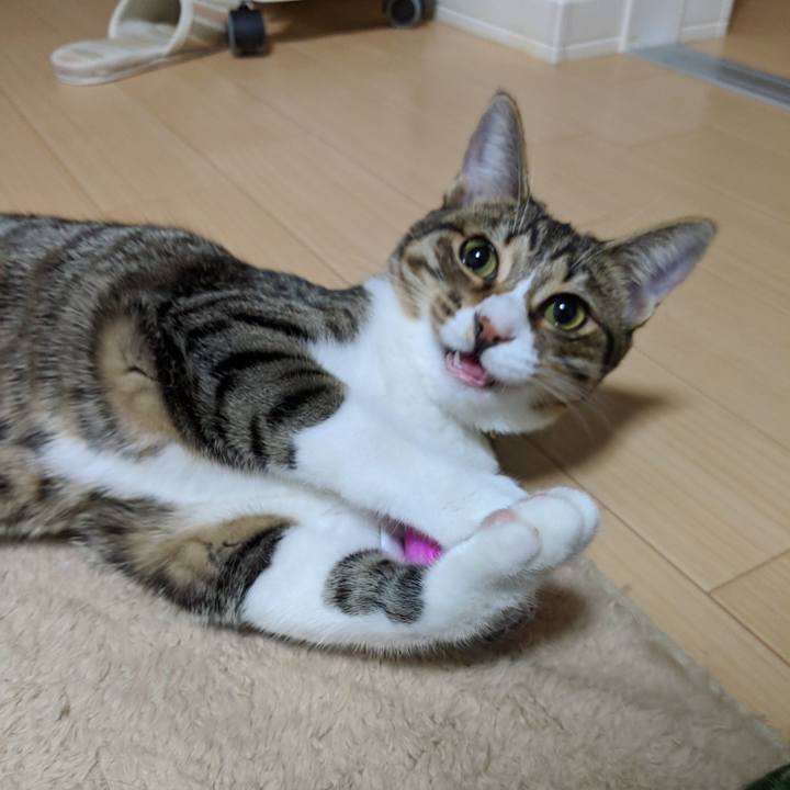 Eade0c5f 6883 4883 add7 c85807af8a36 1546267022814