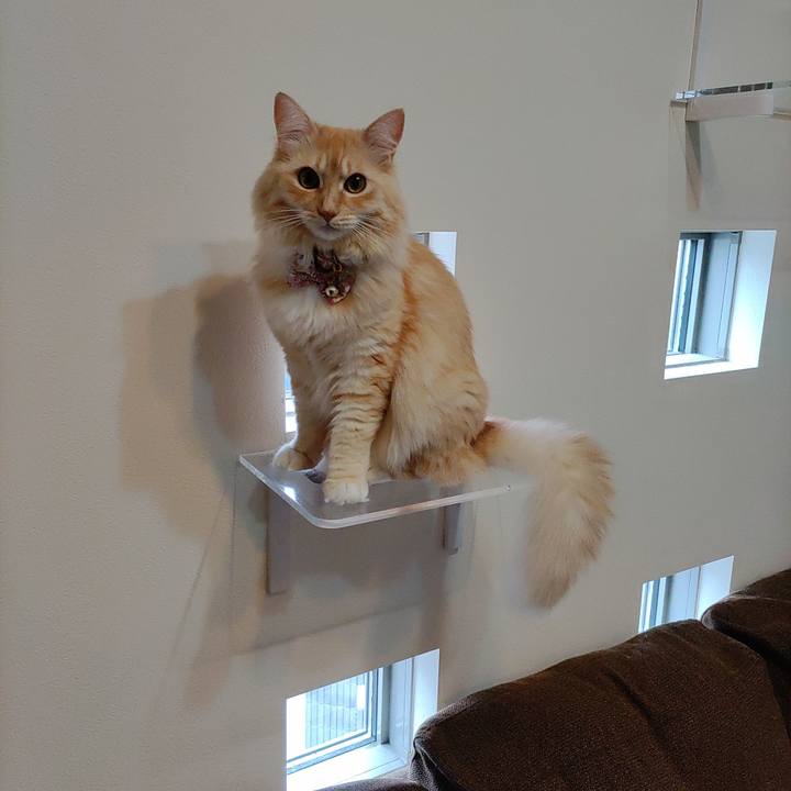 Eade2bd4 a59e 4e65 9cf1 b10bd3aa9cb7 1663235878209