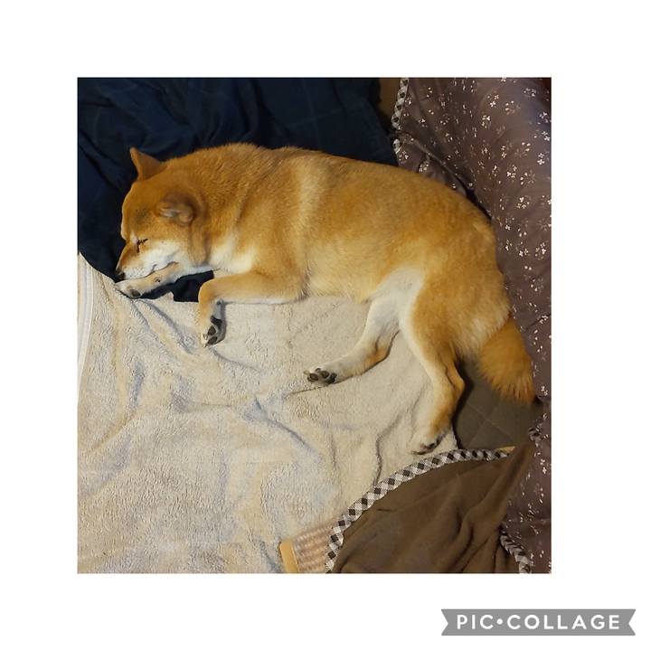 Eade3982 9f57 45f9 9fe2 5398e073fc07 1716628367560