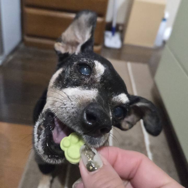 Eade9f35 d8bc 4535 99ee da1f6e3237a0 1769975628584