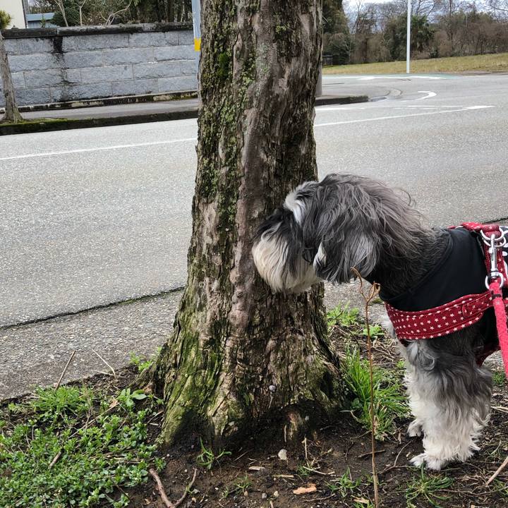 Eadeb7c4 cf6b 40ff 8f59 35a42e2a3063 1552711188672