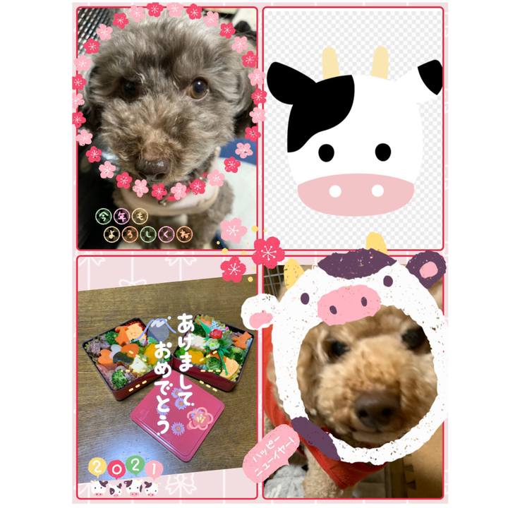 Eadf0b7d c7c5 472e 8b9a 9e3abb62f45e 1609457937722