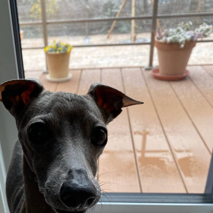 Eadf11b1 d7c2 4b6d 967a 54b36d7ca9ac 1770521393252