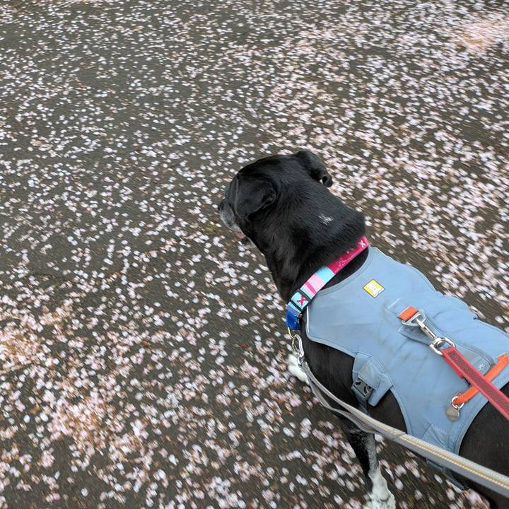 Eadf2b5e 7d50 41e2 8ec0 d5b89605eb1e 1744332568028