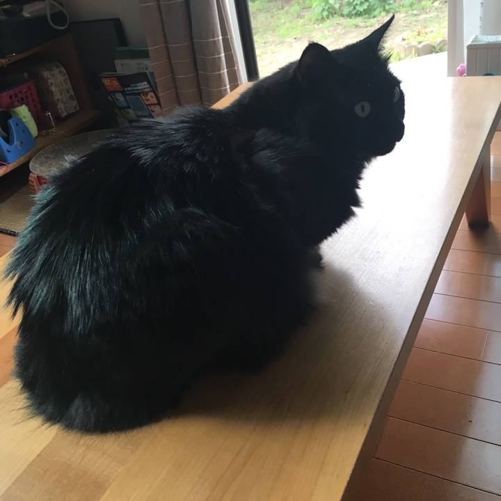 Eadf2f4b 9b46 4a91 b713 4fd99cde3602 1533597915216