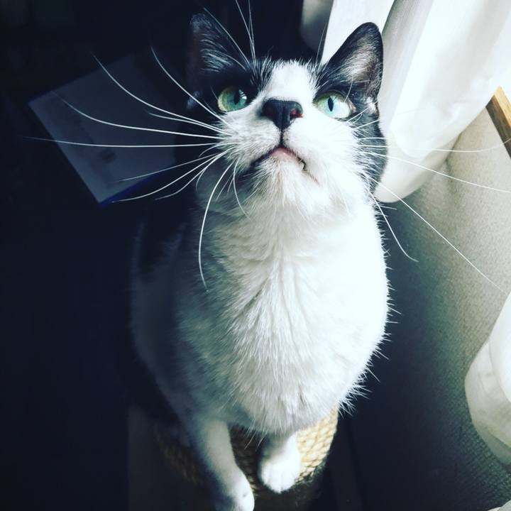 Eadfbf03 7db3 4f0e ad4a 9427e269a8ba 1564190252275